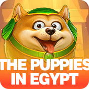 The Puppies In Egypt